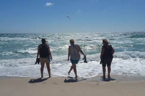 Very Best Of Perth Tour - Wildlife Park & City Highlights Tour - Accommodation NSW 5