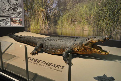 Explore Darwin City Sights Including Key Attractions - Accommodation NSW 2