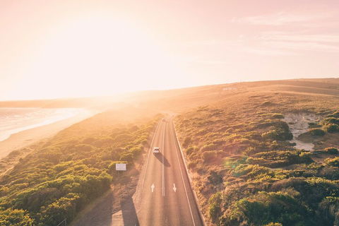 Great Ocean Road & Grampians National Park Tour - 3 Days, 2 Nights - Accommodation NSW 1