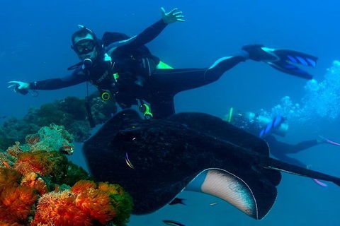 Scuba Dive The S.S. Yongala Wreck On The Great Barrier Reef. - Accommodation NSW 0