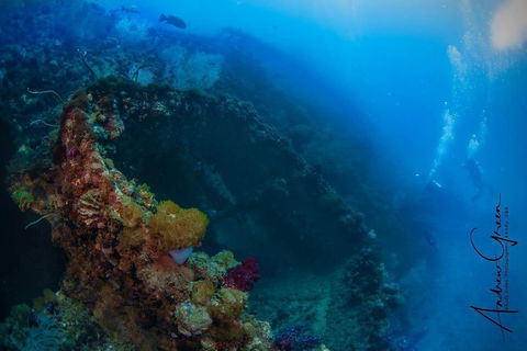 Scuba Dive The S.S. Yongala Wreck On The Great Barrier Reef. - Accommodation NSW 3