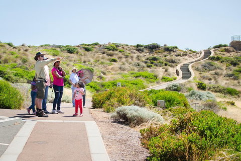 Margaret River Coastal And Wildlife Eco Trip From Busselton Or Dunsborough - Accommodation NSW 0