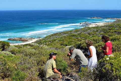 Margaret River Coastal And Wildlife Eco Trip From Busselton Or Dunsborough - Accommodation NSW 2