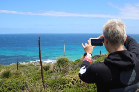Margaret River Coastal And Wildlife Eco Trip From Busselton Or Dunsborough - Accommodation NSW 3