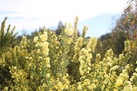 Margaret River Coastal And Wildlife Eco Trip From Busselton Or Dunsborough - Accommodation NSW 4