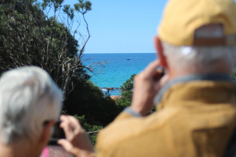Margaret River Coastal And Wildlife Eco Trip From Busselton Or Dunsborough - Accommodation NSW 5